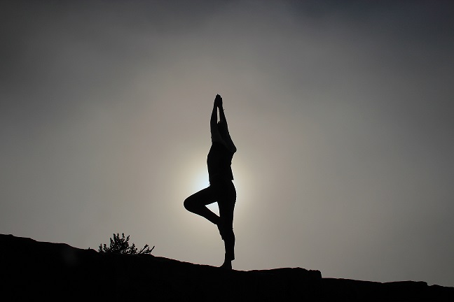 carl dawson chair yoga