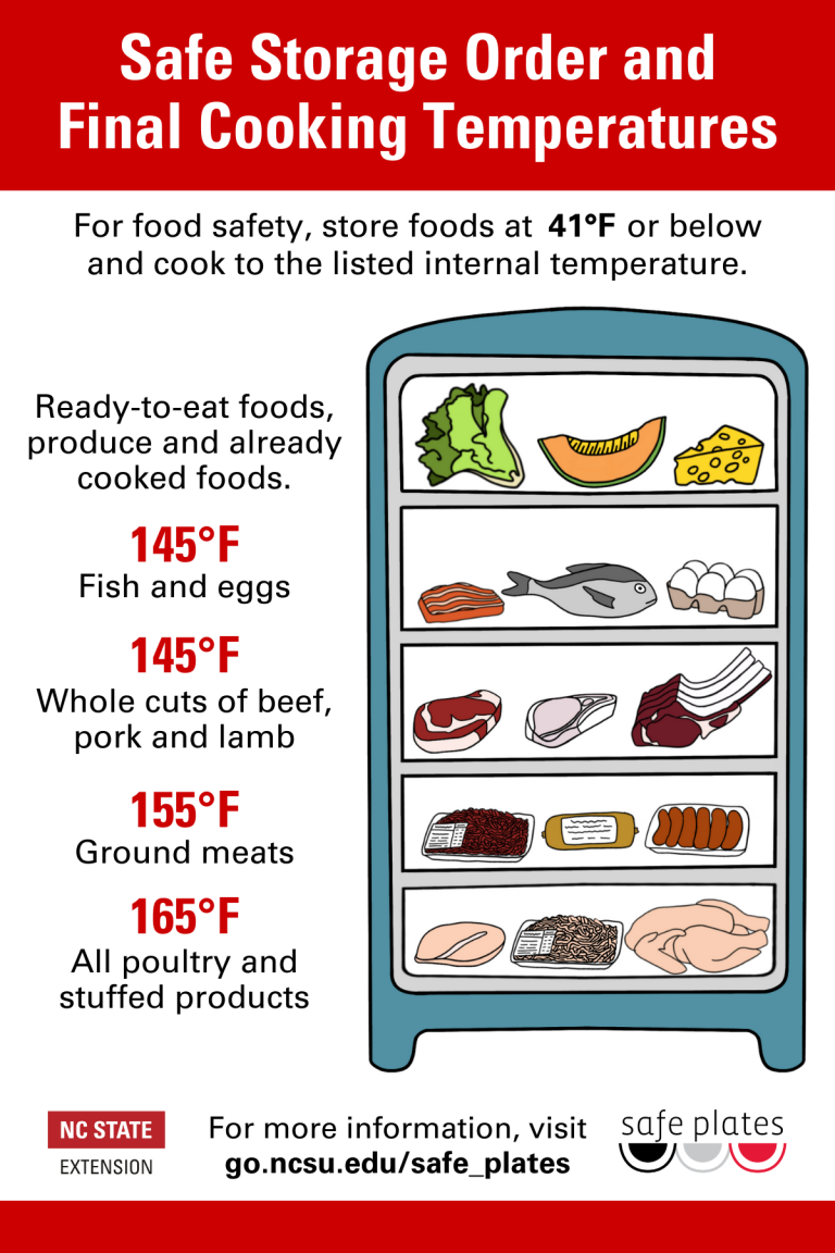 A Food Thermometer Is Key To Food Safety Eat Smart Move More   Storage Order Magnet 4x6 768x1152 